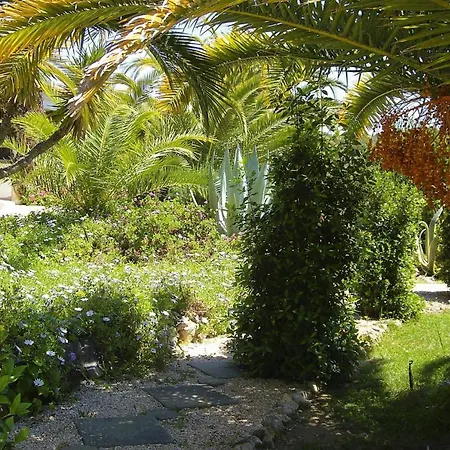 Semi-detached Houses Anna - Alg01363-lya Casa vacanze